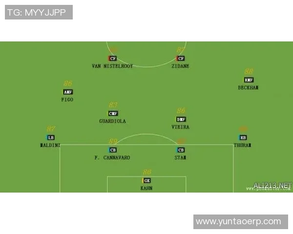 武汉羽毛球队战术表现深度解析与数据分析探讨