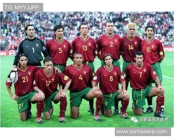 纳姓足球明星的辉煌历程与成就探秘